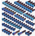 E RIDE PRO S/SS TITANIUM BOLT KIT (COLLECTIVE)