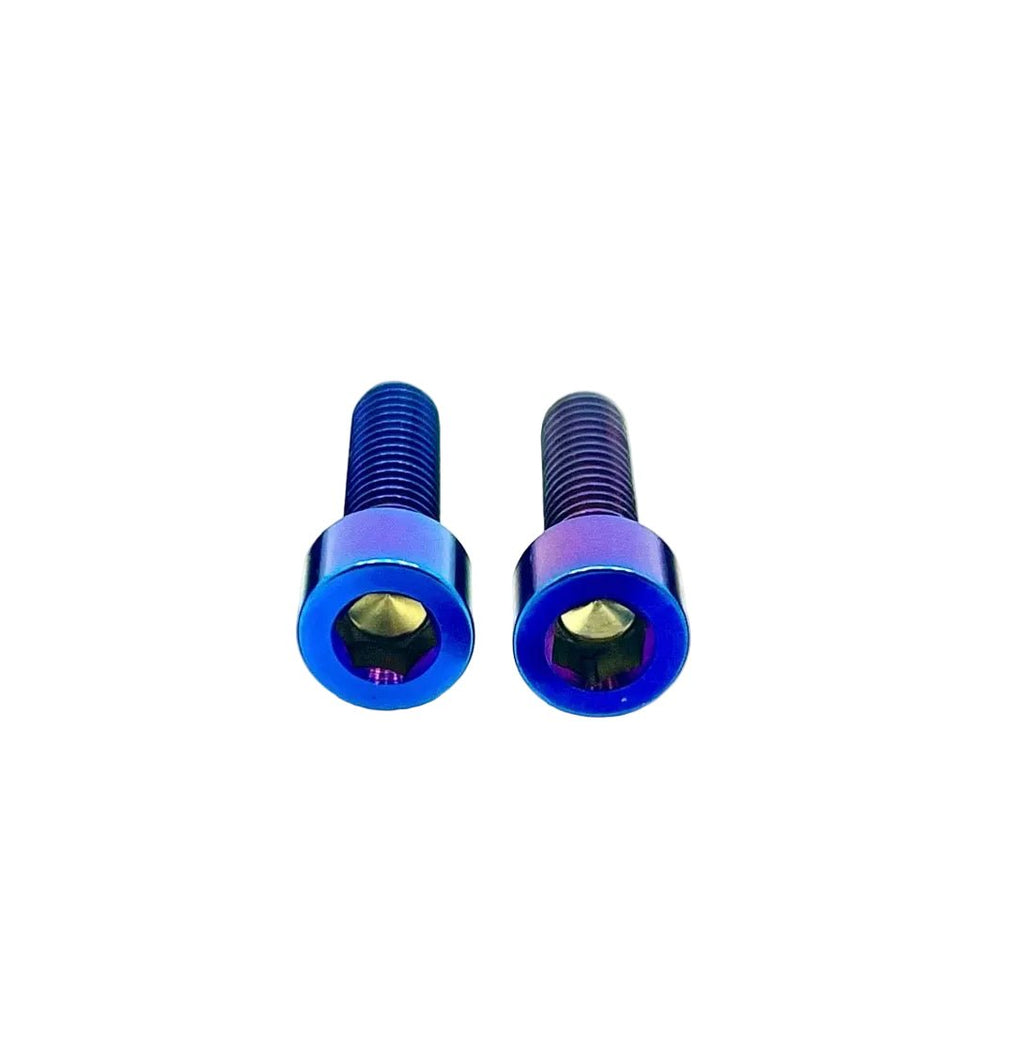 Titanium Motor Cover Bolts (Set of 2) — E-Moto