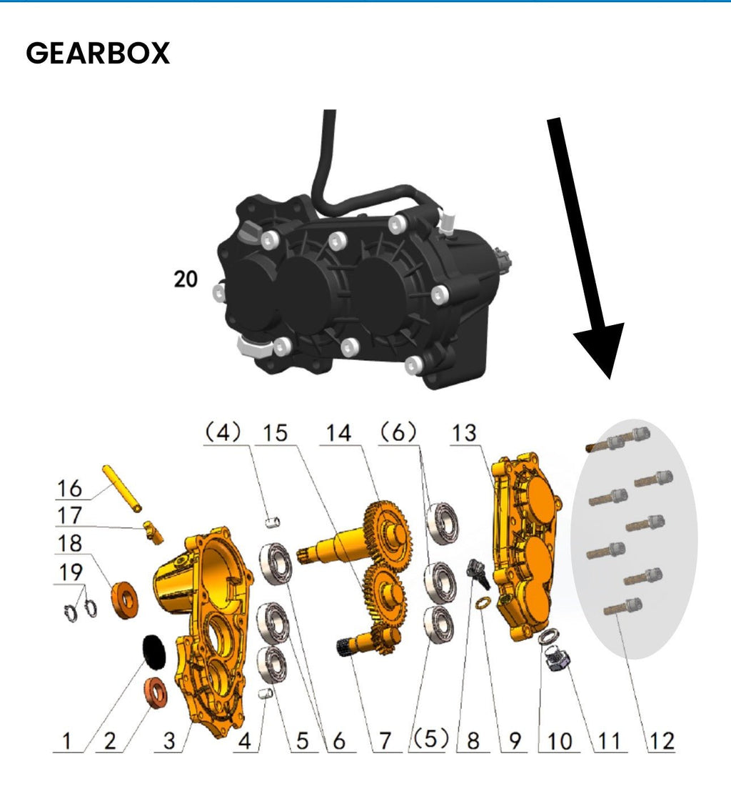 Talaria Sting MX3 MX4 MX5 Gearbox Titanium Bolt Kit