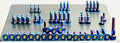 Titanium Full Body Kit - Surron Ultra Bee 113 pcs or 133 pcs